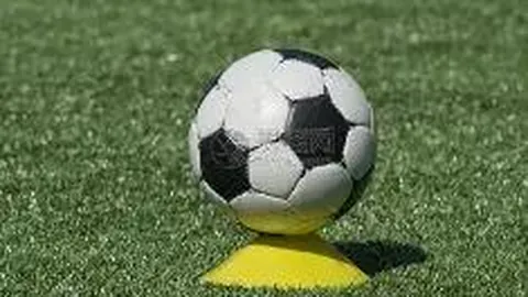 开云体育官网登录 产品 100447 j2c