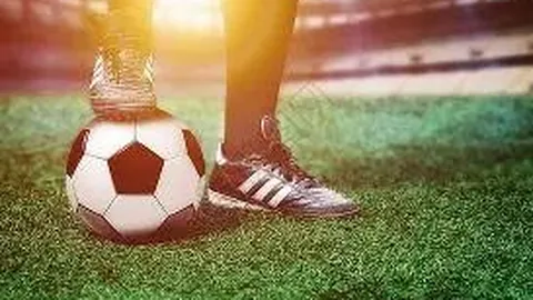 科比·怀特：武切维奇担纲公牛核心，逆境中屡现英雄本色